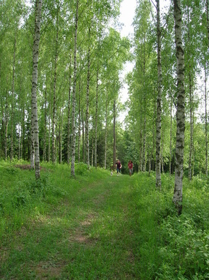 Birkenwald-\"Kaiserstuhl Touristik e.V. Ihringen\"