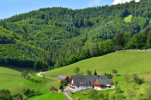 'Ferienhaus - Ferienwohnungen M�llerbauernhof'