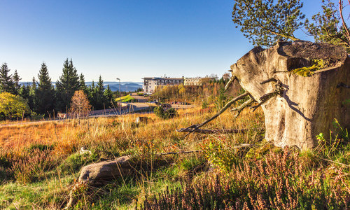 Nationalpark-Hotel Schliffkopf (Baiersbronn-Schliffkopf)