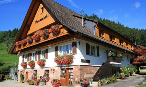 Hansenhof (Bad Rippoldsau-Schapbach) Hansenhof (Bad Rippoldsau-Schapbach)