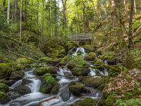 Mit freundlicher Genehmigung der Hotzenwald Tourismus GmbH