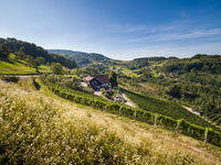 Mit freundlicher Genehmigung der Tourist-Info Sasbachwalden ©Steffen Egly Mit freundlicher Genehmigung der Tourist-Info Sasbachwalden ©Steffen Egly
