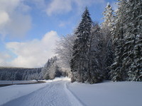 Winter in Wieden (Bildnachweis: Tourismus GmbH zwischen Feldberg und Belchen) Winter in Wieden (Bildnachweis: Tourismus GmbH zwischen Feldberg und Belchen)