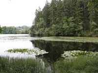Schlüchtsee (Bildnachweis: Tourist-Information Grafenhausen) Schlüchtsee (Bildnachweis: Tourist-Information Grafenhausen)