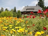 Hsli (Bildnachweis: Tourist-Information Grafenhausen)