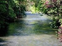 Tiefenbronn (Bildnachweis: Mit freundlicher Genehmigung des B�rgermeisteramtes Tiefenbronn)