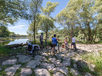 Rheinauen Fahrrad (Bildnachweis: Foto: Joachim Gerstner - Mit freundlicher Genehmigung der Touristinformation Rastatt)