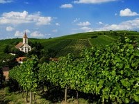 Auggen (Bildnachweis: Mit freundlicher Genehmigung der Touristikinformation Auggen / Winzerkeller Auggener Schf)