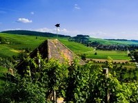 (Bildnachweis: Mit freundlicher Genehmigung der Touristikinformation Auggen / Winzerkeller Auggener Schäf) (Bildnachweis: Mit freundlicher Genehmigung der Touristikinformation Auggen / Winzerkeller Auggener Schäf)