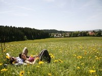  (Bildnachweis: Mit freundlicher Genehmigung der Stadt Bad Drrheim)