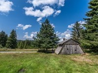(Bildnachweis: Mit freundlicher Genehmigung Tourist Information Bernau) (Bildnachweis: Mit freundlicher Genehmigung Tourist Information Bernau)