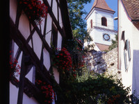 (Bildnachweis: Gemeinde Efringen-Kirchen) (Bildnachweis: Gemeinde Efringen-Kirchen)