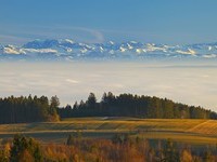 (Bildnachweis: Tourist-Information Höchenschwand, Fotograf: Erich Spiegelhalter, Klaus Hansen) (Bildnachweis: Tourist-Information Höchenschwand, Fotograf: Erich Spiegelhalter, Klaus Hansen)