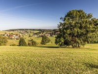 Grwihl - Engelschwand  (Bildnachweis: Mit freundlicher Genehmigung der Hotzenwald Tourist-Info Grwihl  )