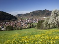  ZweiTlerLand Tourismus, Gutach-Bleibach Fotograf Clemens Emmler (Bildnachweis:  ZweiTlerLand Tourismus, Gutach-Bleibach Fotograf Clemens Emmler)