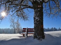 (Bildnachweis: Mit freundlicher Genehmigung der Stadt Lossburg) (Bildnachweis: Mit freundlicher Genehmigung der Stadt Lossburg)