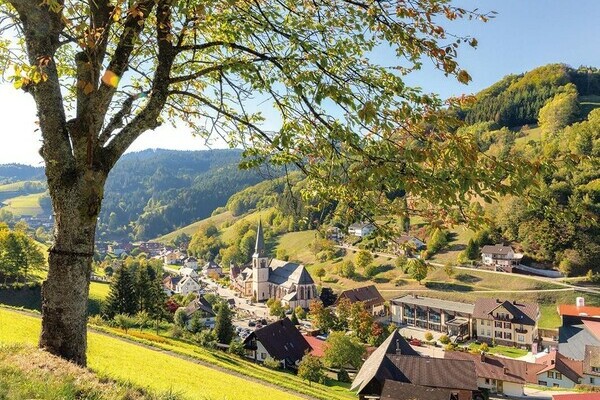 Premiumspazierwanderweg Panoramawegle Bildnachweis: Bad Peterstal-Griesbach