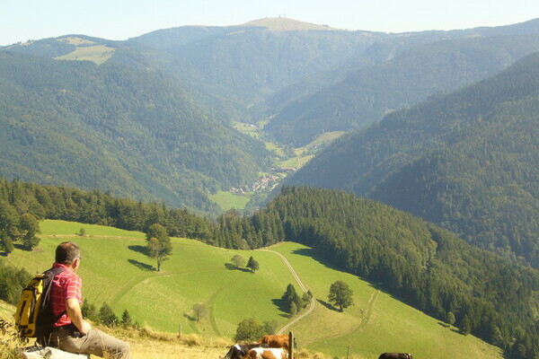 Aussicht auf die Berge des Dresiamtals Copyright: (Tourist-Information Dreisamtal)