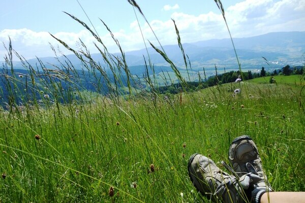 Ausblick Dreisamtal Bildnachweis: Tourist-Information Dreisamtal