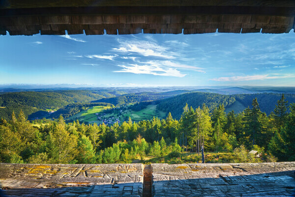 Ausblick vom Hochkopfturm Copyright: (Mit freundlicher Genehmigung der Gemeinde Todtmoos)