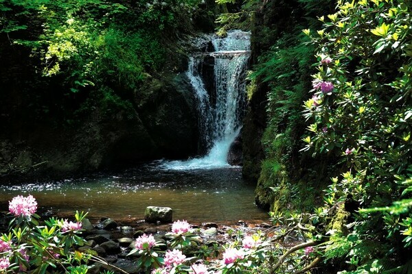 Geroldsauer Wasserf�lle Copyright: (Baden-Baden Kur & Tourismus GmbH)
